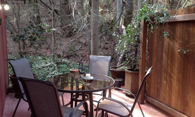Cedar Ridge Apartment | NO CLEANING FEE! Charming Creek Side Studio Near Lakes, Rivers, Downtown
