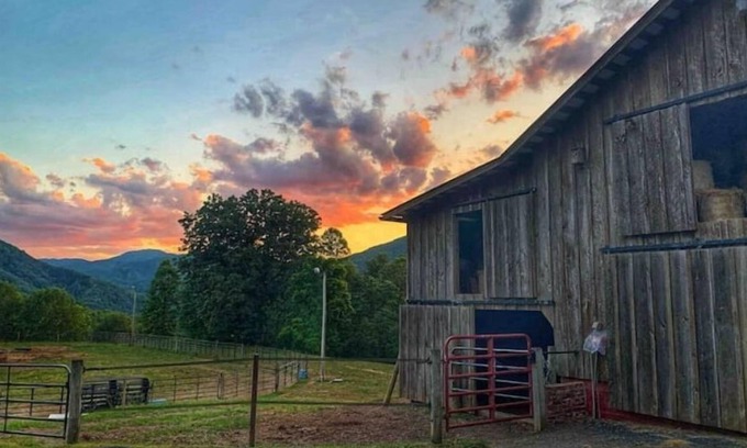 Marshall Cabin | "No Crowds"-120 Private acres, Waterfall, streams and lots of hiking trails