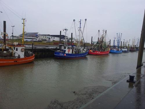 Wurster Nordseekuste Apartment | Nordsee und Natur. Gemütliche Fewo mit Deichblick
