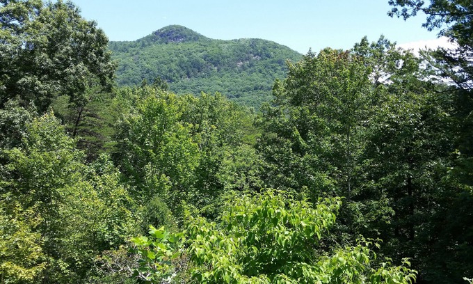 Clayton House | North Georgia Mountain Place