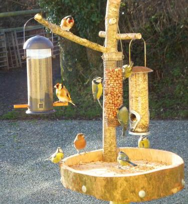 Haverfordwest Bed & Breakfast | North Headborough