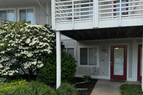 Douglas Apartment | Northern Light Condominiums: Condo 12