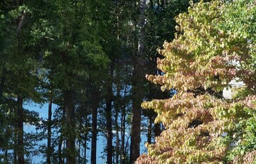 Northlake Condo | NORTHLAKE CAPTAIN'S QUARTERS has 3 bedrooms and 2 full baths to accommodate 6.