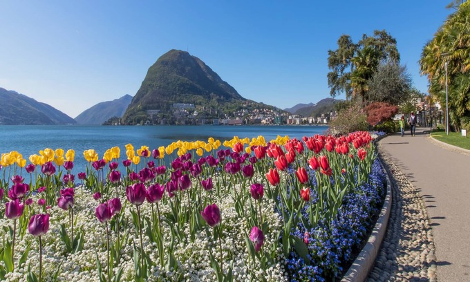 Lugano City-Centre Apartment | Novos Contrada 5 502