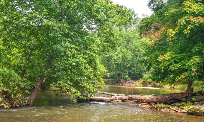 Warrensville Cottage | NOW BOOKING RIVER OTTER COTTAGE! 2BR/1BA ON THE NEW RIVER W/FIREPIT AND WIFI