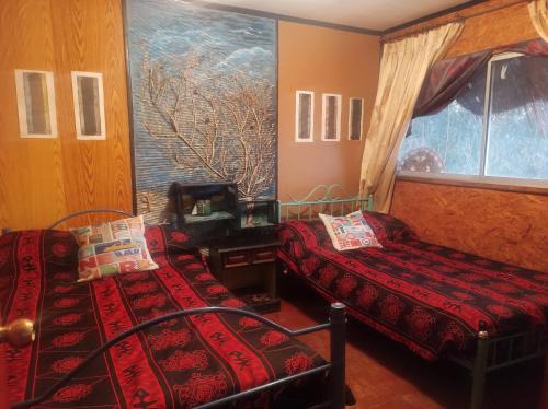 Lo Contador Bed & Breakfast | NUEVOVALPO hillside homestay