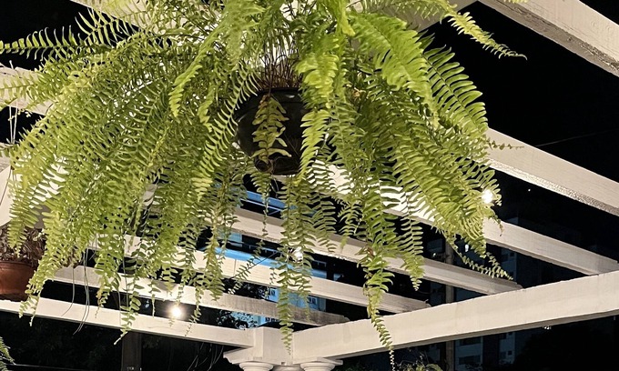 Lourdes Hotel | Nuh Hostel - Lourdes