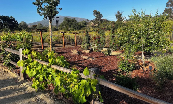 Alpine House | Oak Haven Garden Oasis