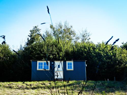Bridport Other | Oak Shepherds Hut