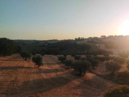 Scapezzano Apartment | Oasi verde