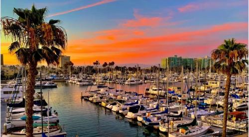 Del Rey Apartment | Oasis 2 bedroom minutes to the marina