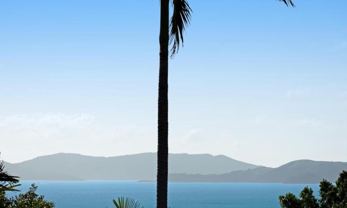 Hamilton Island Apartment | Oasis 25 Hamilton Island