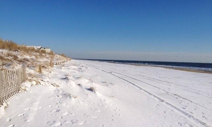 North Ocean City Condo | Ocean Front Directly On Beach Walk Out To The Sand