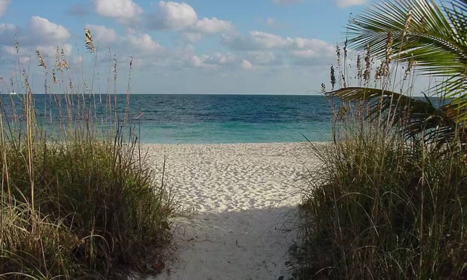 Ribault Hotel | Ocean Jewel Box