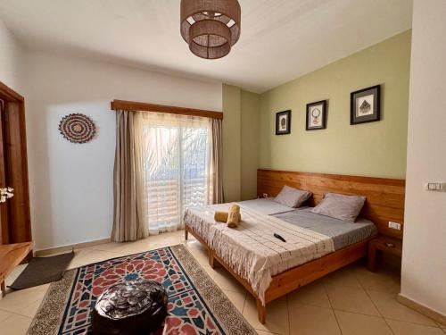 Dahab Apartment | Ocean Life Dahab