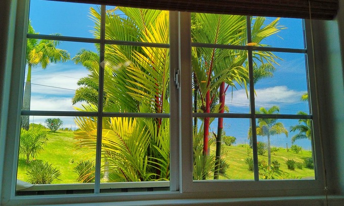 Pepeekeo Cottage | Ocean View Couple's Cottage with Fruit Orchard