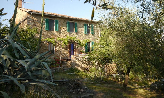 Caldana Other | Oekohof in the ancient olive grove, close to the sea, beautiful view, bath fountain