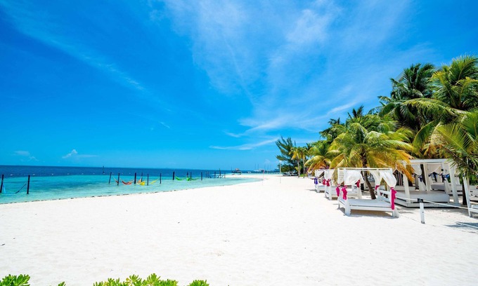 Avenida Tulum Hotel | Oh! Cancun The Urban Oasis & Beach Club