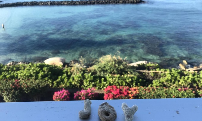 Makaha Condo | Oh the views! Oceanfront condo: Dolphins, Turtles & Sunsets oh my!
