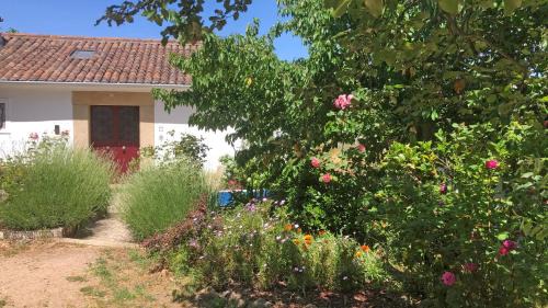 Castelo de Vide House | Ola Linda - Casa de Campo -