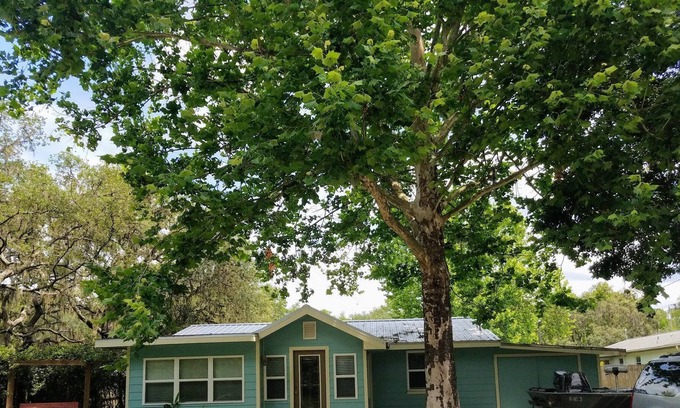 Dunnellon House | Old Florida vibes near fishing, kayaking, golf, scalloping, tubing, and birding!
