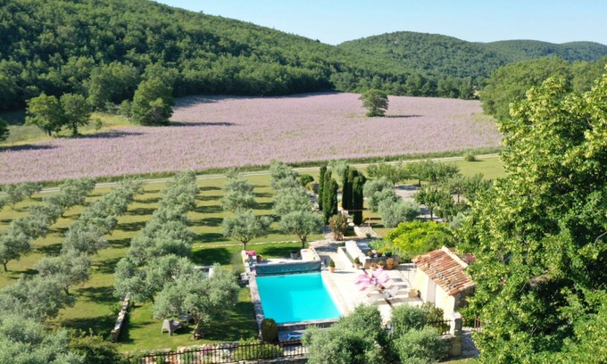 Lardiers Other | Old sheepfold of the 18th restored with great taste in the middle of lavender