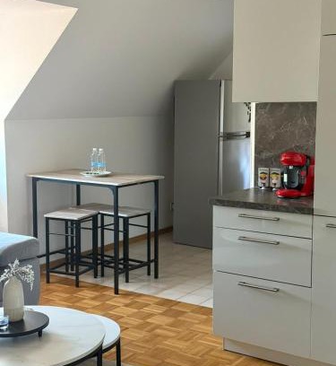Dachau District Apartment | Old town comfort and cozy apartment 2