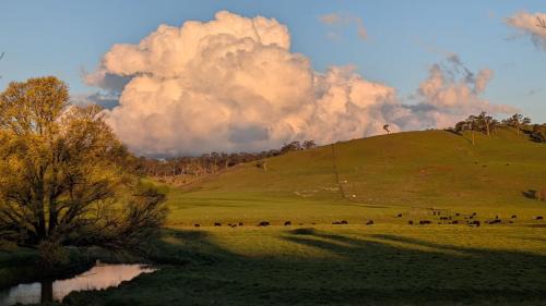 Walcha Bed & Breakfast | OLDGREENWELLS B&B