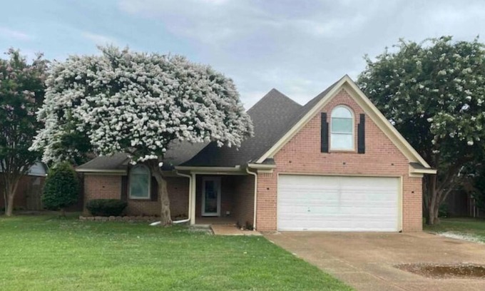Olive Branch House | Olive Branch Mi Casa Es Su Casa
