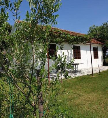 Mahala Apartment | Olive house (near the airport)