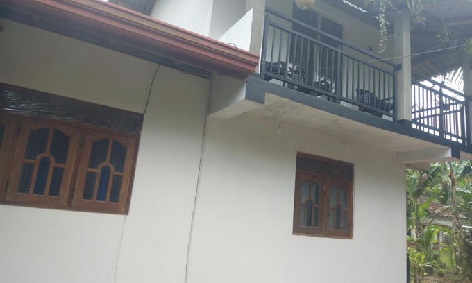 Pelena House | Olive Launch
