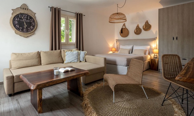 Ano Mera Hotel | Olive Mykonos Villas - Junior Villa