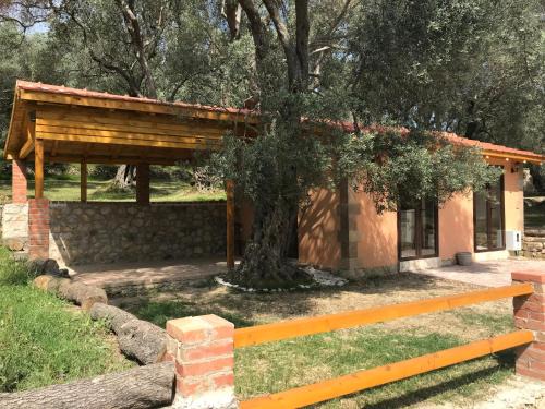 Ulcinj Cabin | Olive Paradise