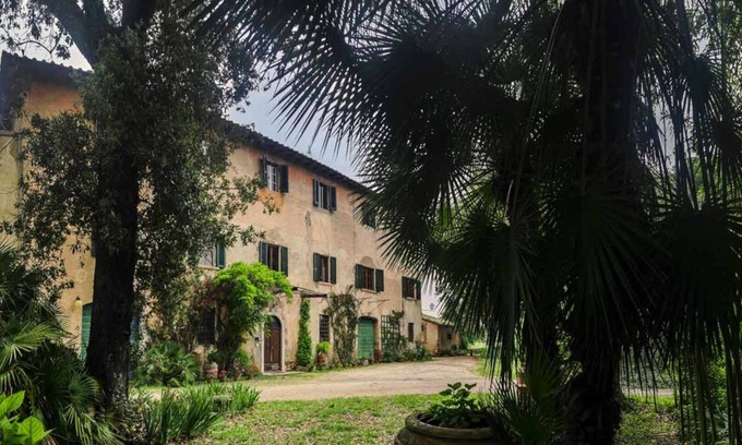 Riotorto Bed & Breakfast | Olive Tree Suite Apartment