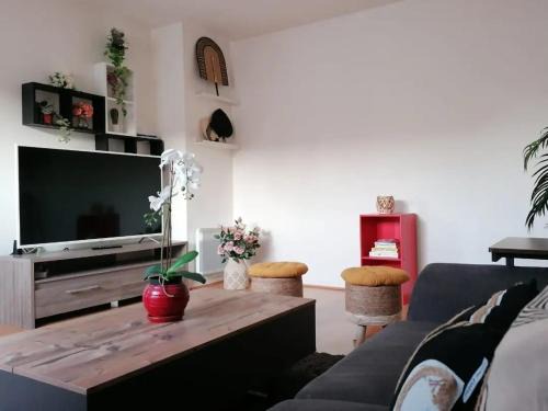 Saint-Denis Apartment | Olympe Stade de France