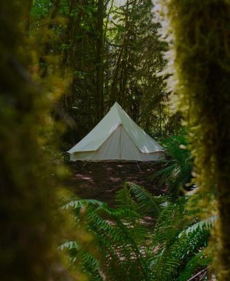 Port Angeles Other | Olympic Glamping