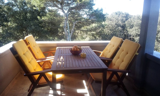 Silba Apartment | One bedroom apartment with terrace and sea view Silba (A-17603-b)