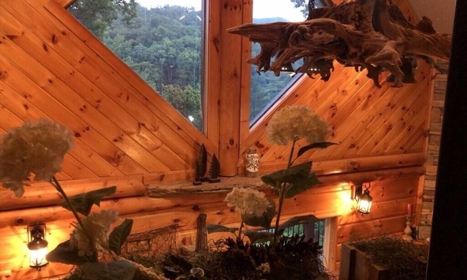 Butler Cabin | ONE OF A KIND LUXURY LAKESIDE TREE HOUSEPontoon, Ski, Hike, Rejuvenate