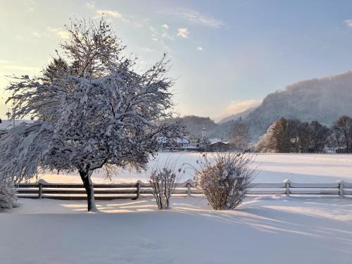 Oberaudorf Apartment | Open Garden Mountain Lodge