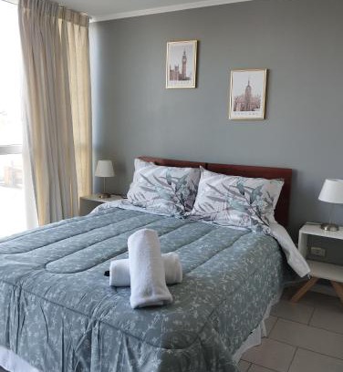 Temuco Apartment | Open Suite 2