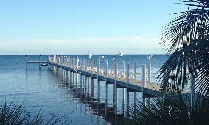 Long Beach Estates House | Open water home, privacy, nature preserve
