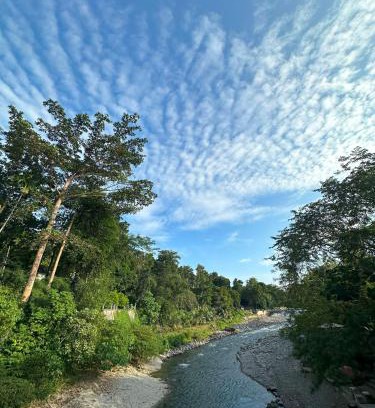 Bukit Lawang Hotel | Orangutan Inn - Trekking & Transport Only Book With Us