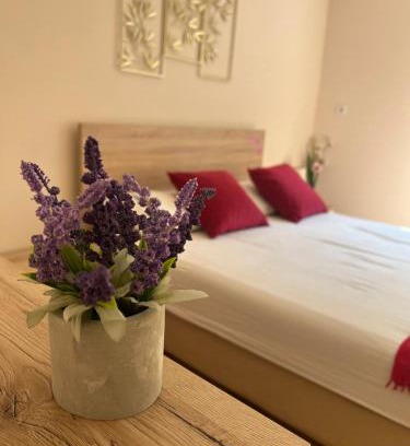 Palilula Apartment | Orchid House