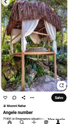 Touros Other | ORLANDO CITY PARK área de camping