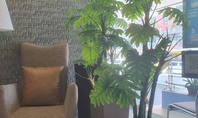 Kapitolyo House | Ortigas Budget Hotel