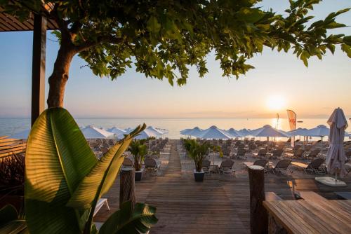 Haniotis Hotel | Ostria Sea Side Hotel