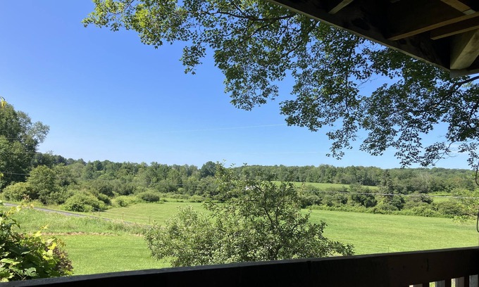 Cooperstown Cabin | Our Ctown property,lite cooking,1 bedroom slp3Cabin WiFi~AC&fishing in our pond!