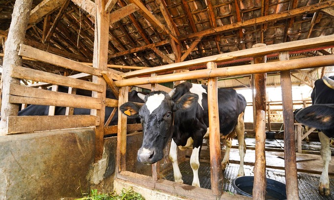 Lembang Hotel | OYO Homes 91008 Eco Tourism Desa Cibodas Babakan Gentong 1 Syariah