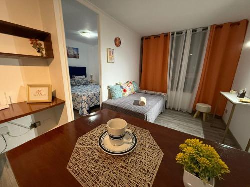 Downtown Santiago Apartment | Palacio Suite Departamento vista Torre Entel