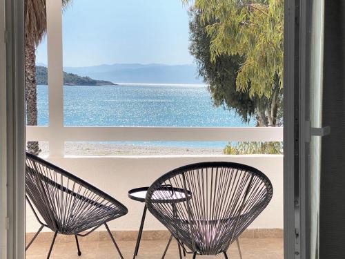 Kilada Apartment | Palm Suite Blue